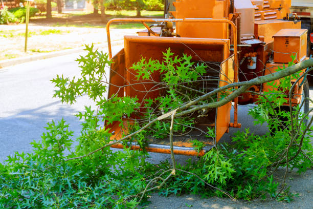 Best Pest Control for Lawns  in Harrodsburg, KY