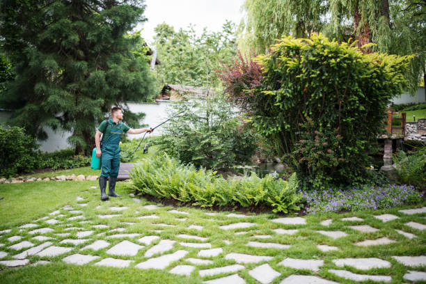 Professional Tree Services in Harrodsburg, KY