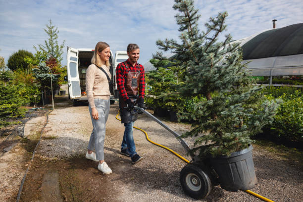 Best Tree Cabling and Bracing  in Harrodsburg, KY